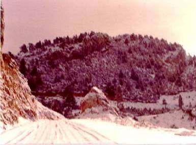 CARRETERA DELS RASOS - copia