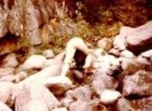 CECI EXCURSIO COMA DE VACA